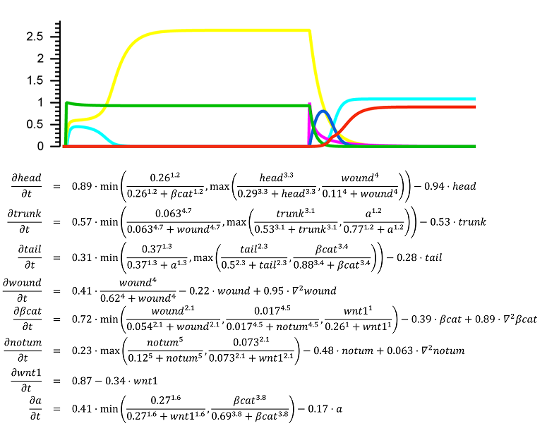 Dynamic system